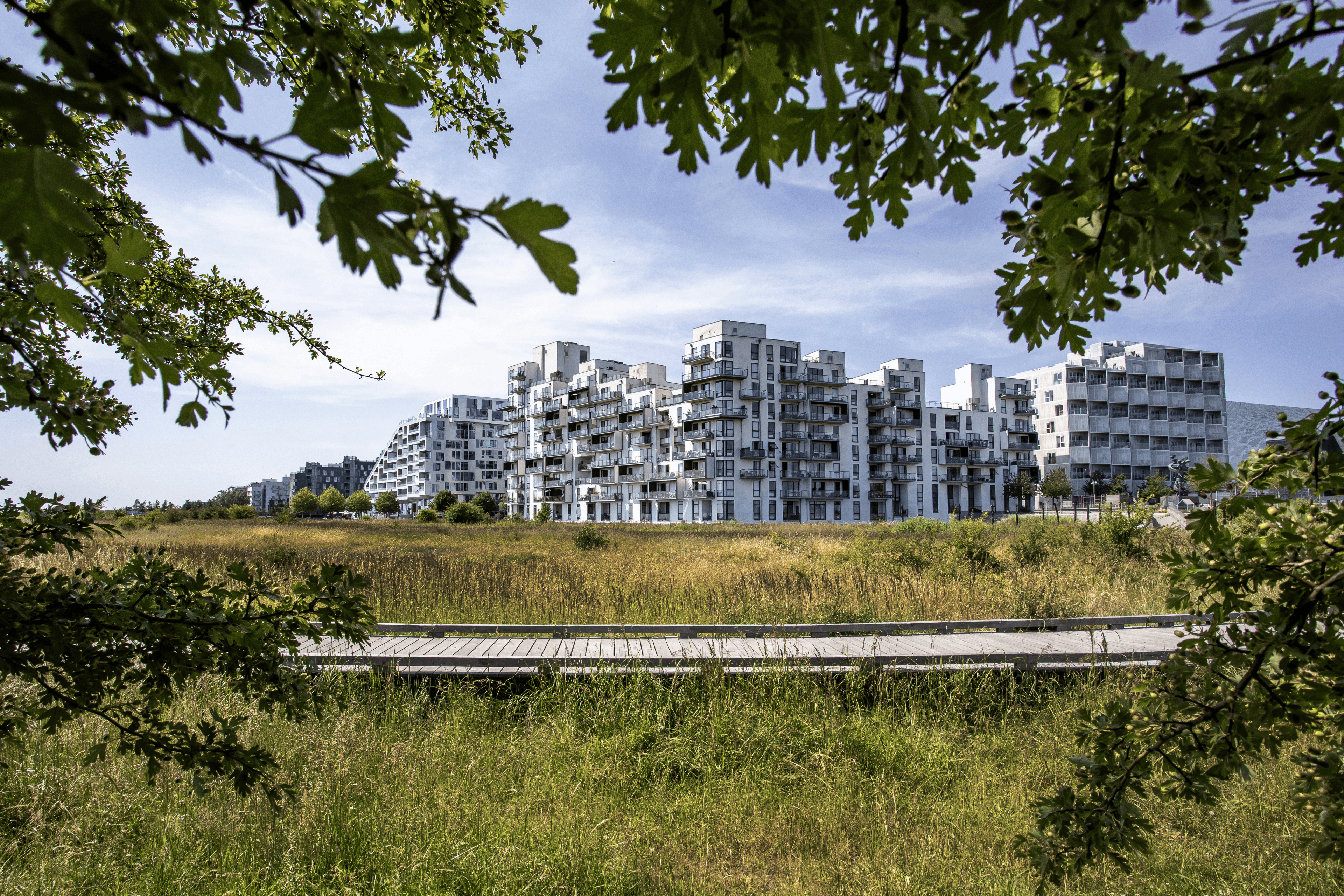 Exterior view of Stævnen with views toward Kalvebod Fælled and the surrounding natural area.