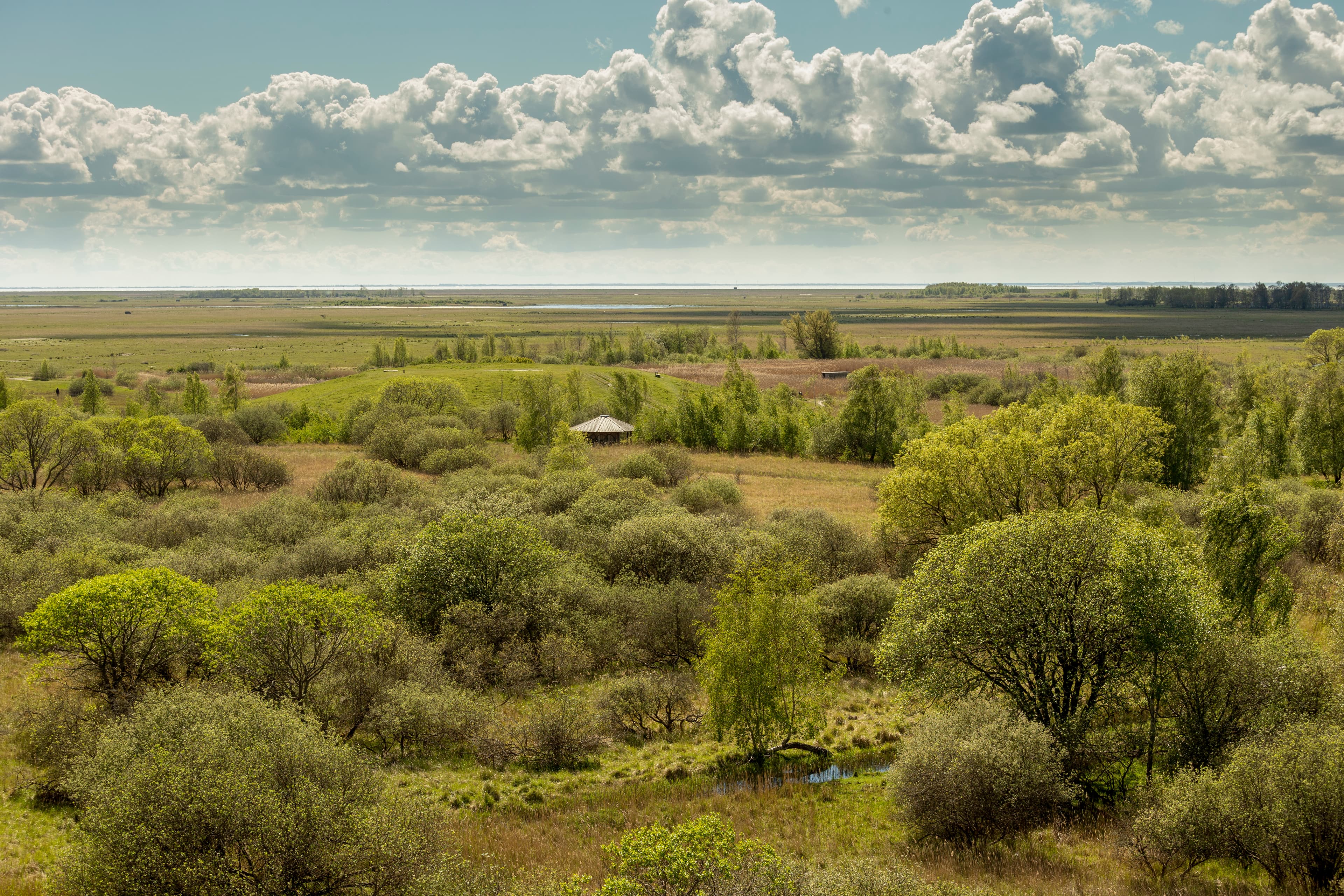 Aerial view of Kalvebod Fælled on a summer day