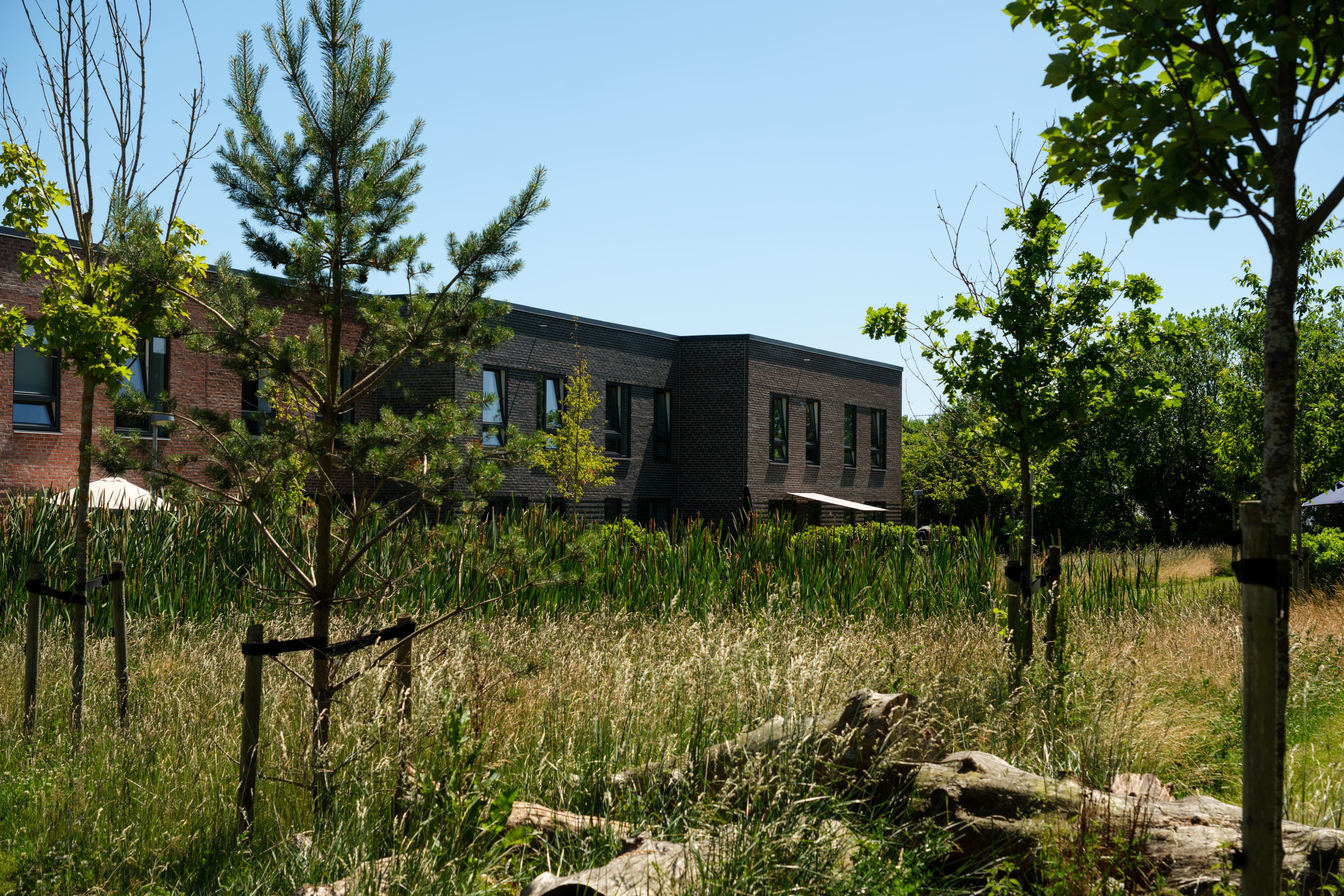 TriumphHusene building exterior