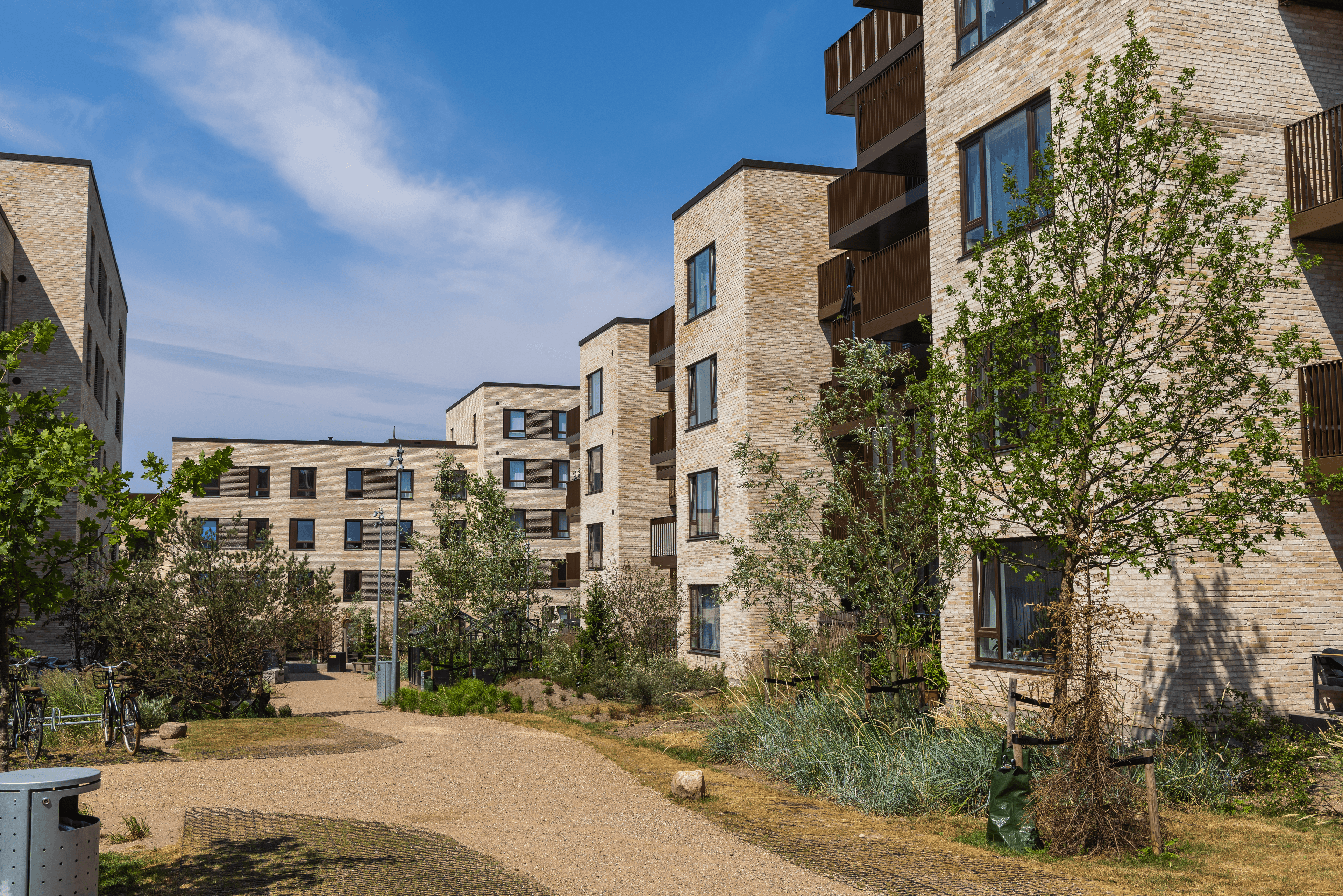 Exterior view of the courtyard at Lynghaven showing shared outdoor areas
