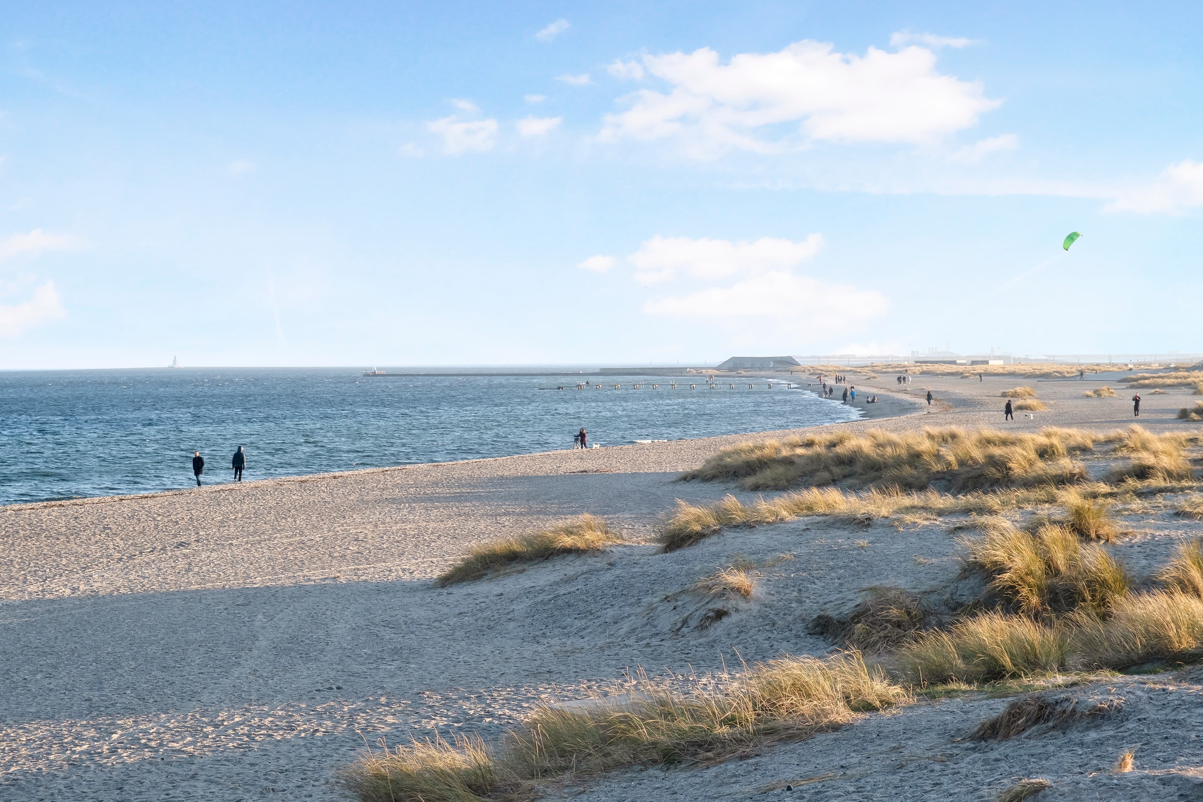 The public beaches at Amager Strandpark