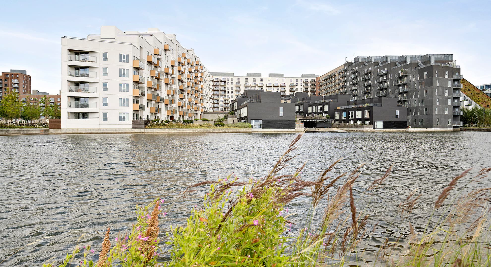 20-9805-1001 hash:50c5f6ed91ed3a2540044d58eeb2865adf140977fdc181ab37590579edf1c46a