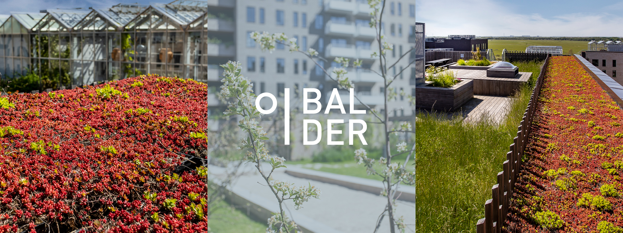 Bæredygtighed i Balder