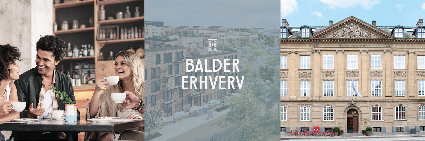 Balder Erhverv top banner