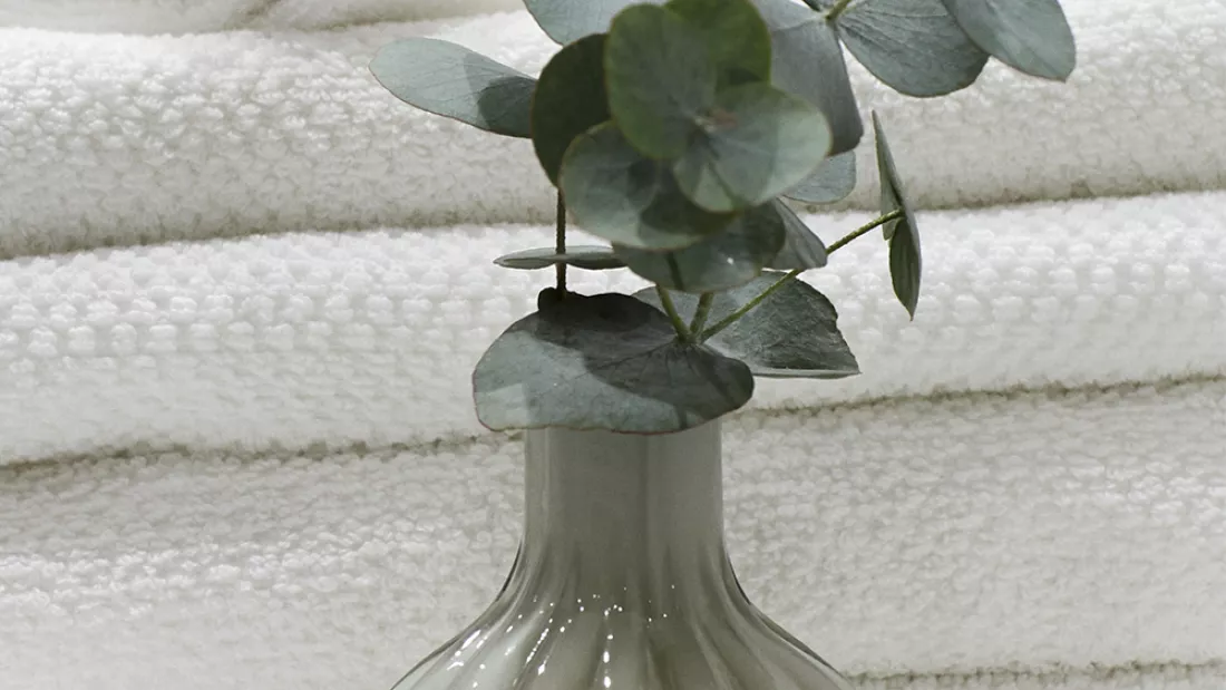 Plant and towels in an apartment in Lavetten