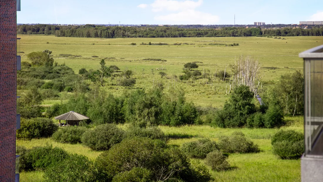 Storslået natur ved Elsehus