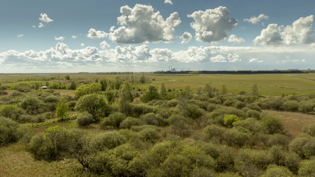 Fælleden byder på et fortryllet naturlandskab