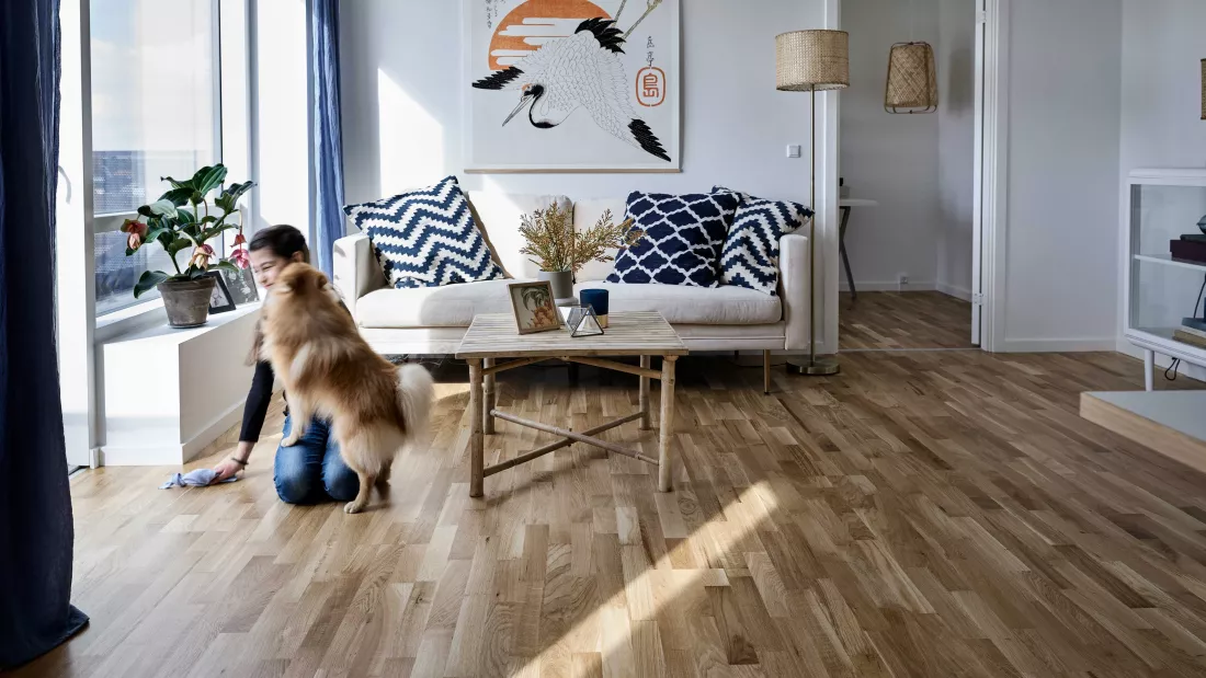 Lej med din hund i stuen