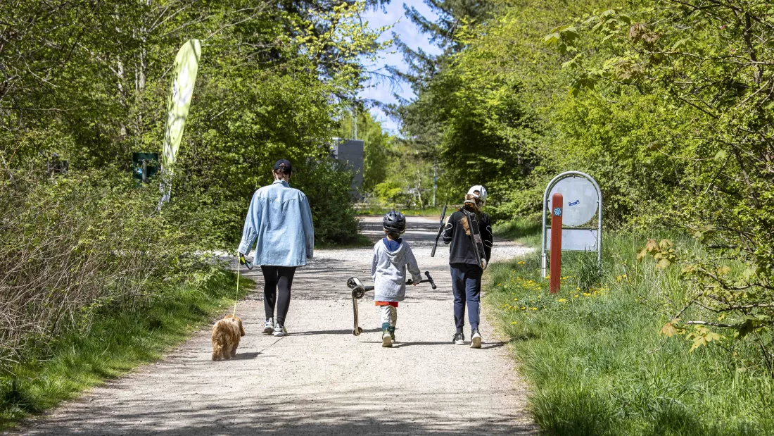 Gangstier i naturen i Solrød