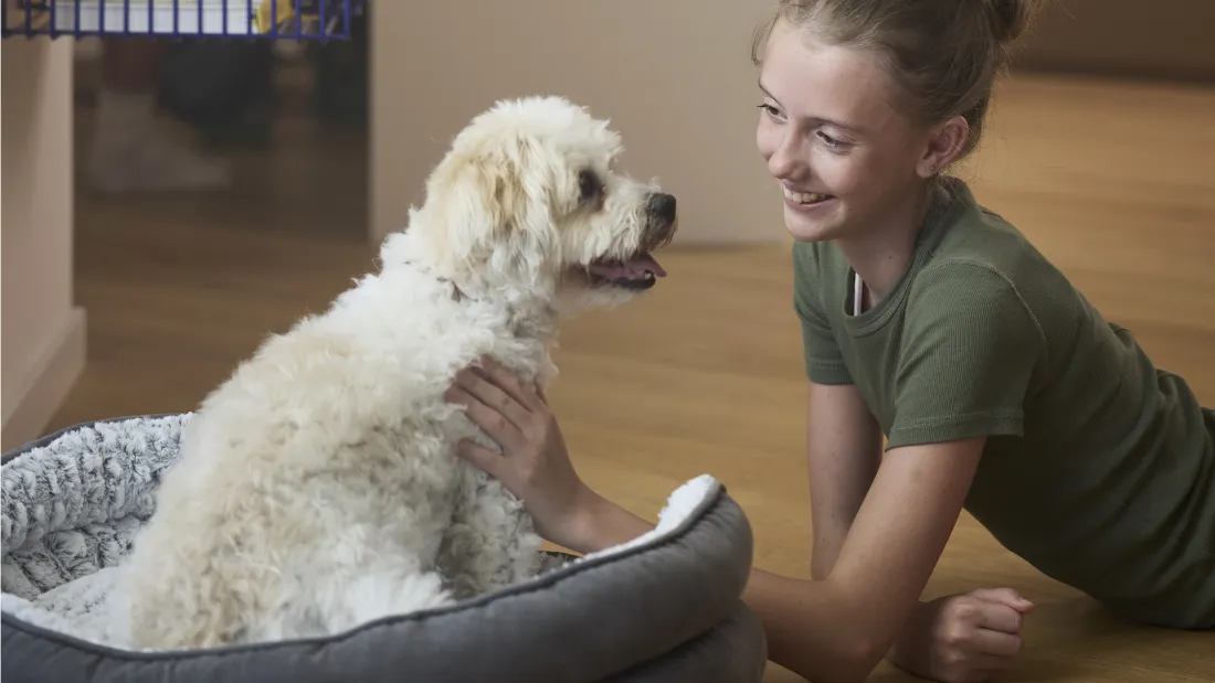 Hund og pige 
