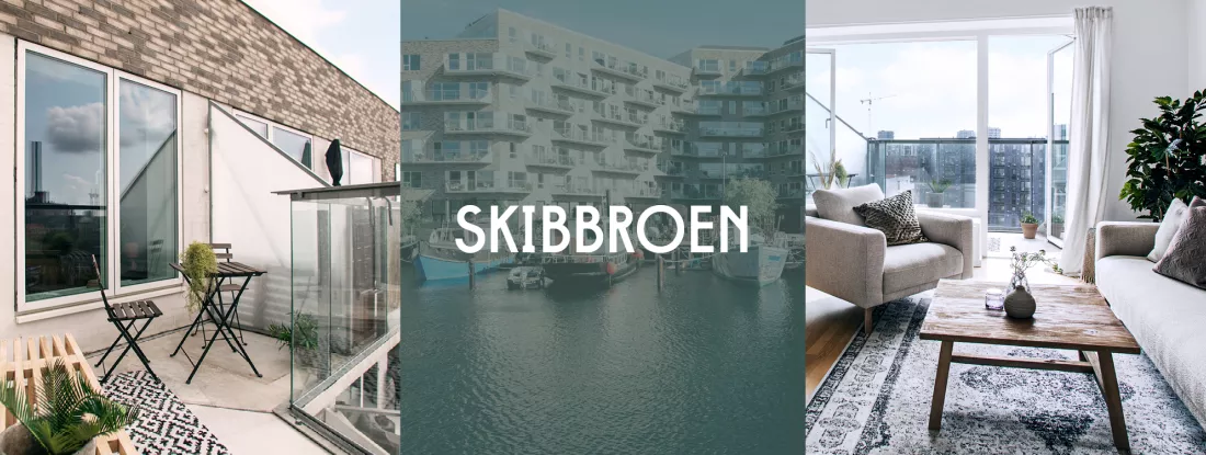 Skibbroen coverbillede