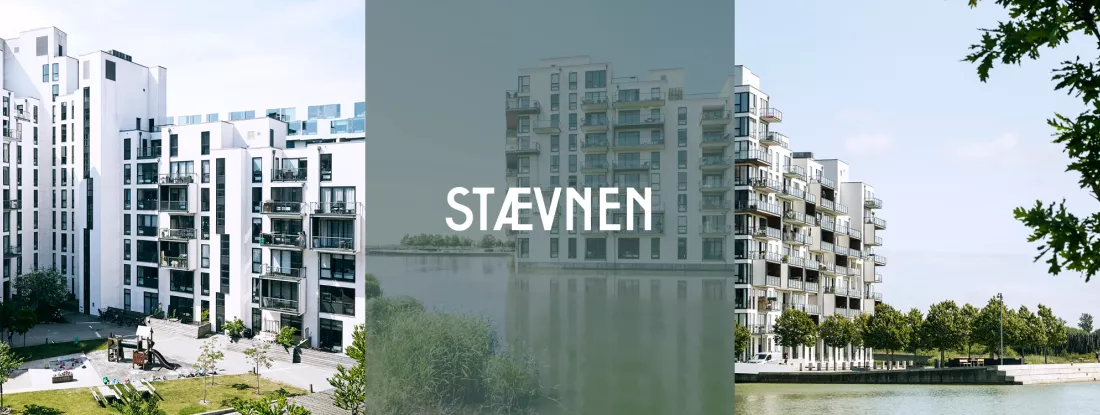 Stævnen coverbilled