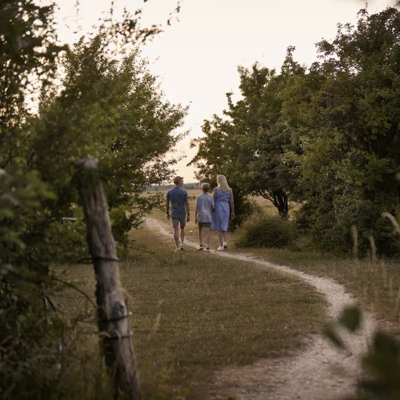 Familie på gåtur i det grønne