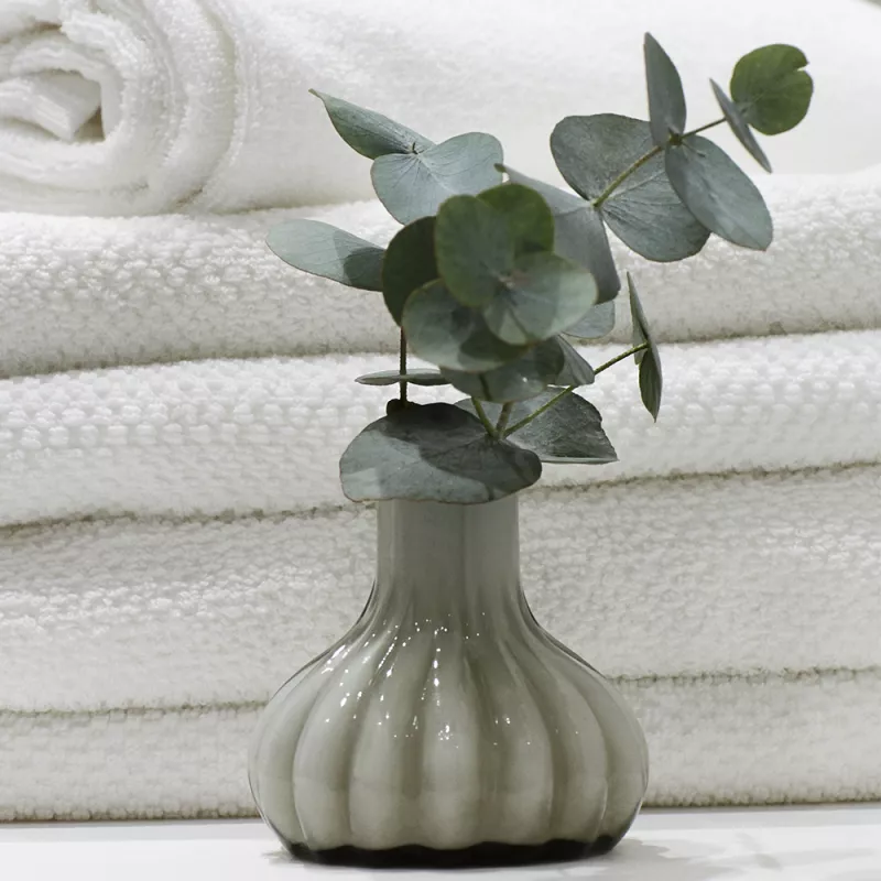 Plant and towels in an apartment in Lavetten