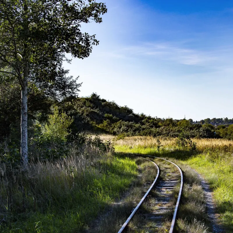 Hedelandet railway 