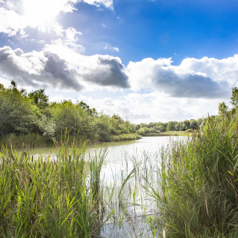 Sejlbjerg marsh