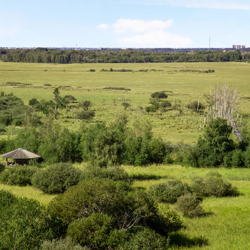 Storslået natur ved Elsehus