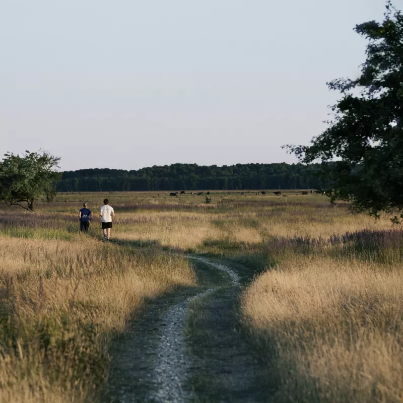 Tag en løbetur i naturen