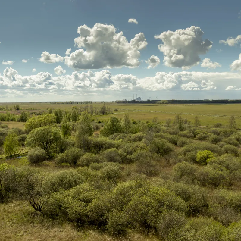 Fælleden offers an enchanting natural landscape