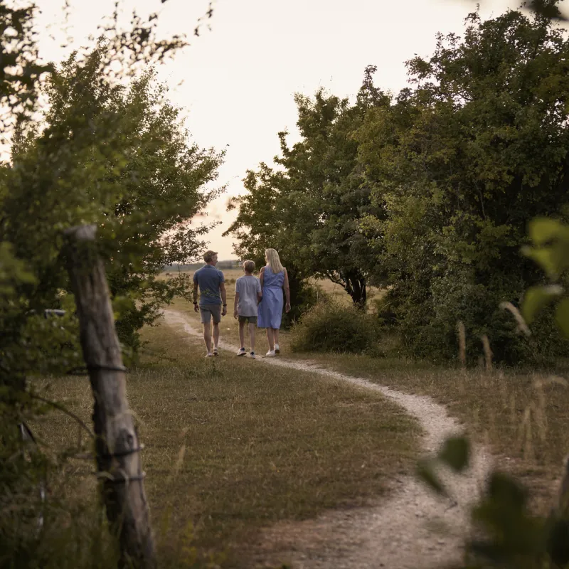 Fælleden is perfect for walks