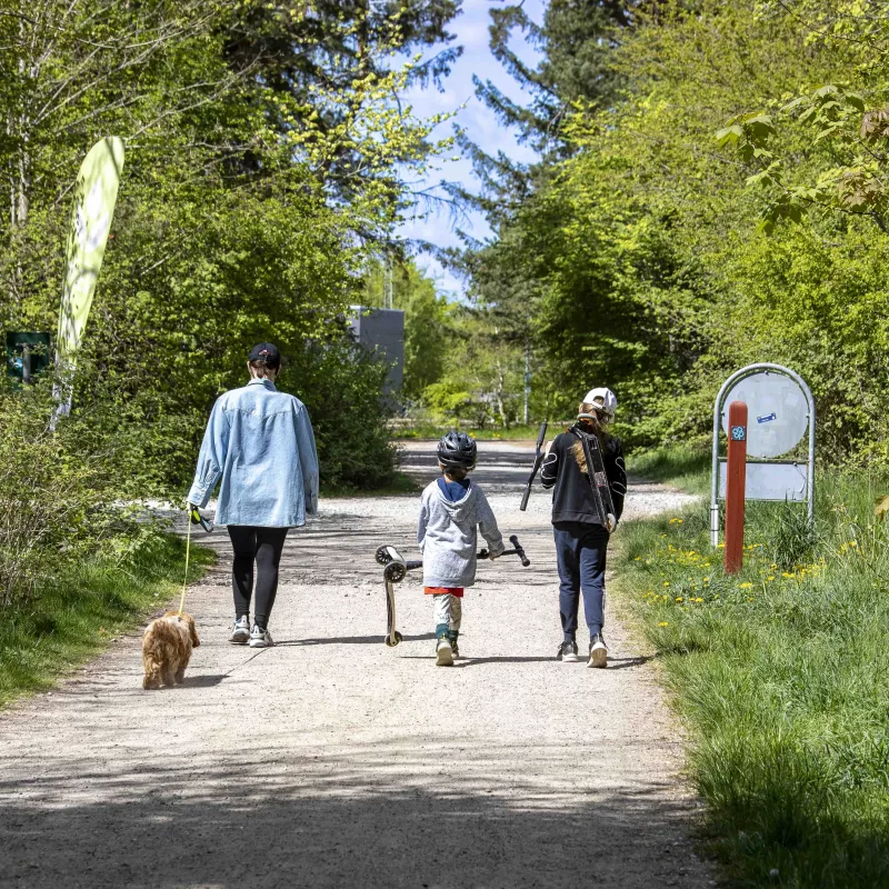 Gangstier i naturen i Solrød