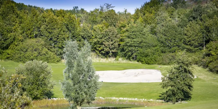 Golf club