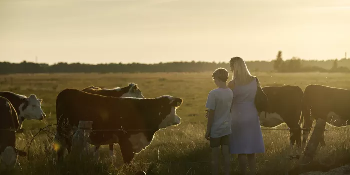 Experience the amazing wildlife at Kalvebod Fælled